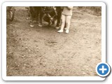 phoca_thumb_l_032
